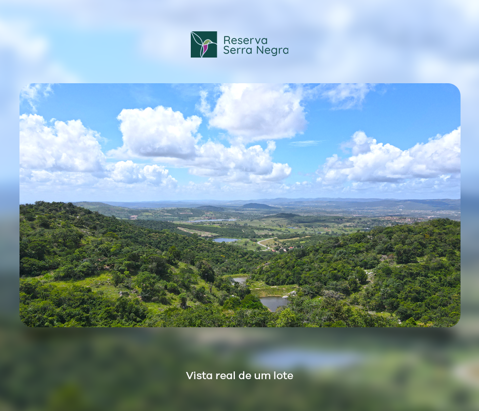 Vista do Lote Vista do Lote